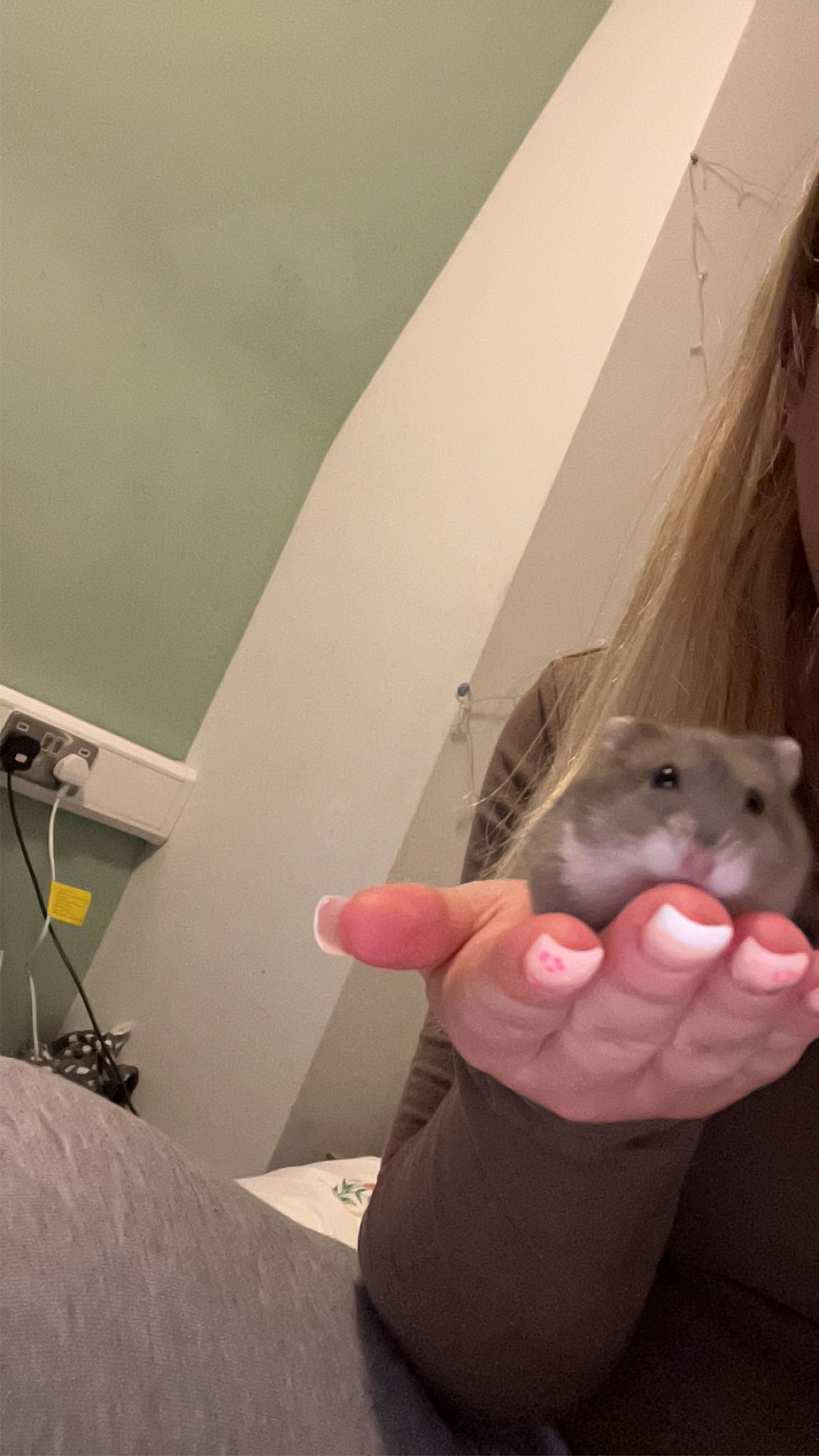 petal